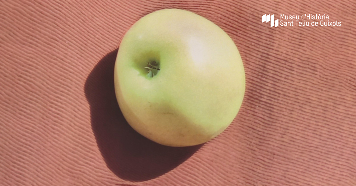 Imatge de l'activitat