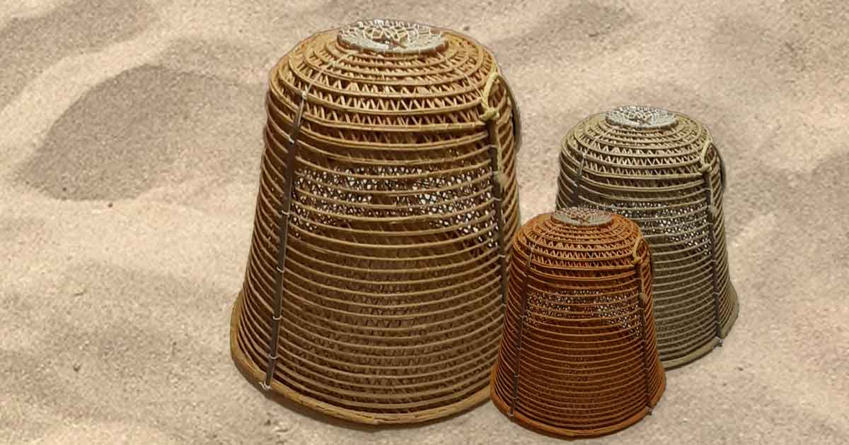 Imatge de l'activitat